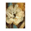 Trademark Fine Art Marietta Cohen Art And Design 'Cream Flower Illustrations 1' Canvas Art, 24x32 ALI43164-C2432GG